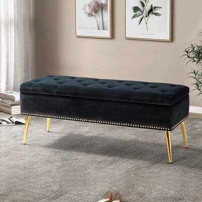 Neptunus Modern 45.5-inch Velvet Bedroom Storage Bench for End of Bed with Nailhead Trim by HULALA HOME