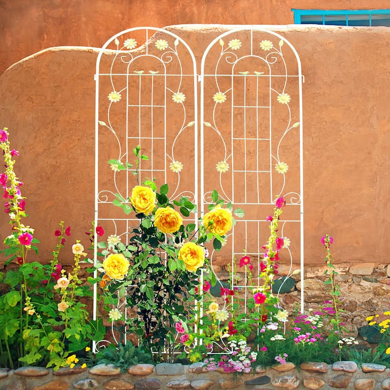 4 Pack Metal Garden Rustproof Trellis for Climbing Plants - White
