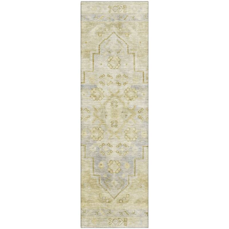 Premium Washable Super Soft Vintage Traditional Mayfield Rug