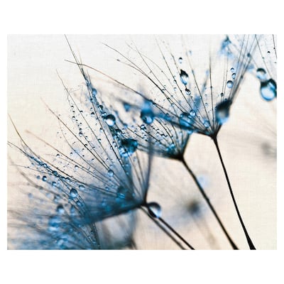 Mystic Blue by PhotoINC Studio Canvas Art Print