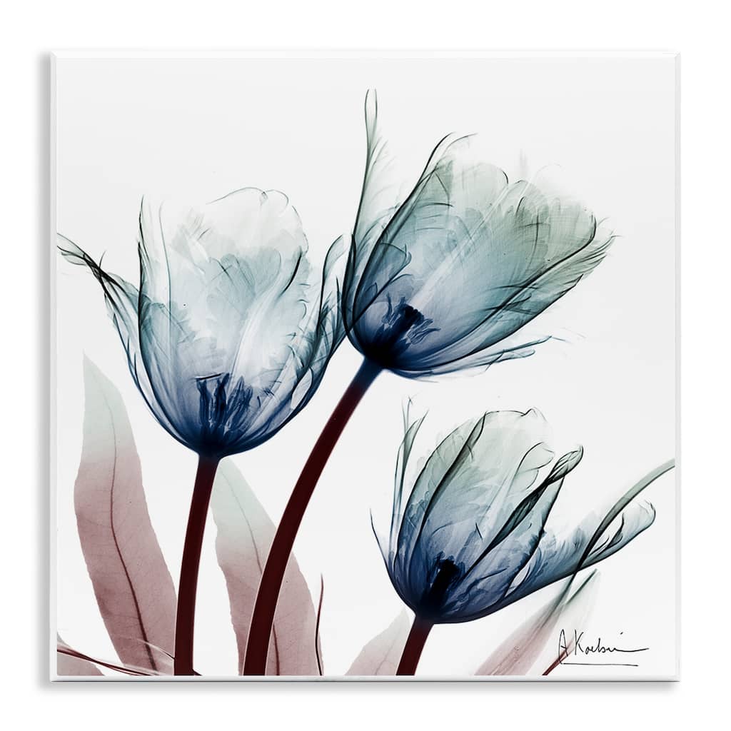 Stupell Translucent Tulip Bulbs Wall Plaque Art Design By Albert Koetsier