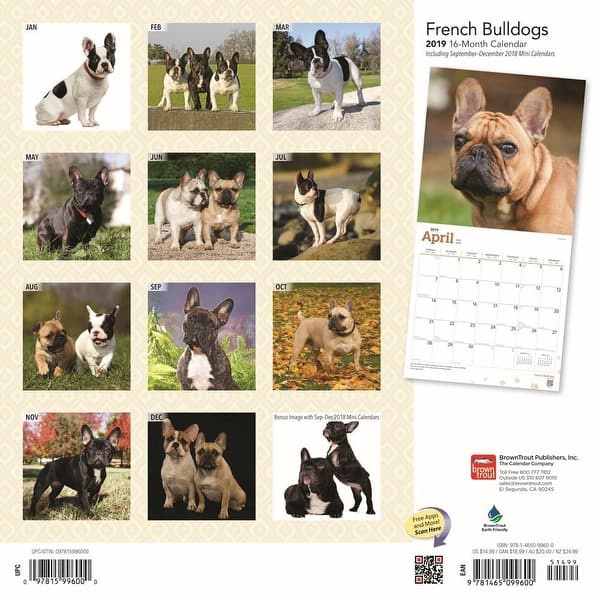 Shop French Bulldogs Wall Calendar French Bulldog By Browntrout