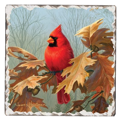 Counterart Absorbent Stone Coasters - Cardinals #2 - Set of 4 - 4x4x1.007