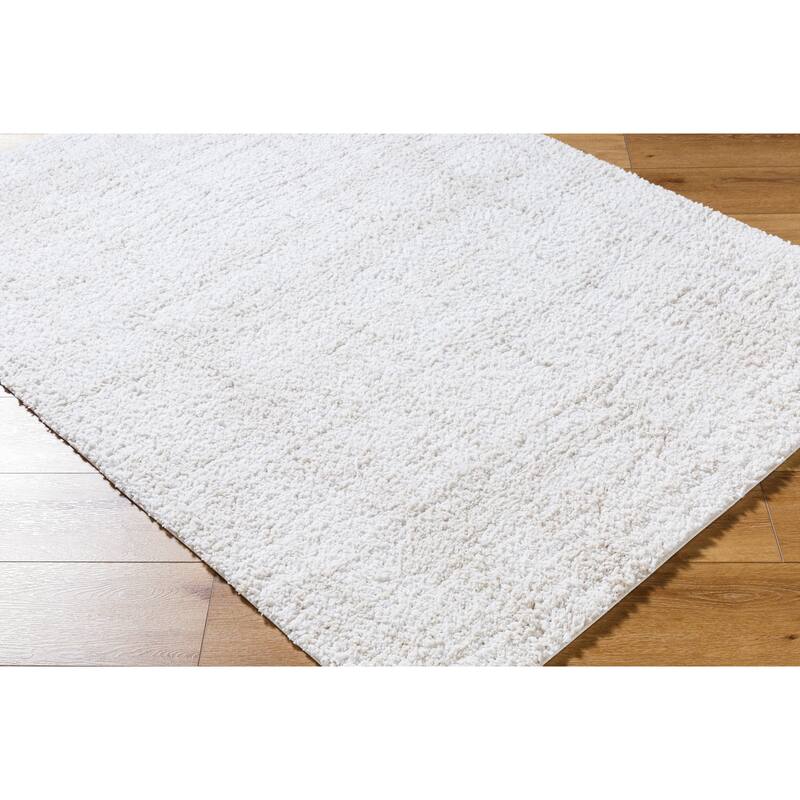 Livabliss Modern & Contemporary Sacramento Shag Ombre Area Rug