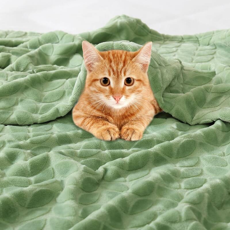 Walensee Fleece Throw Blanket Soft and Lightweight for Couch, Sofa, Bed and Lounge Chair, 50"x60"