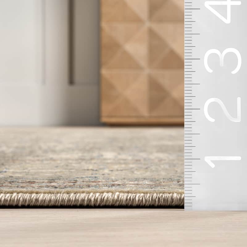 Nuloom Carol Traditional Medallion Area Rug