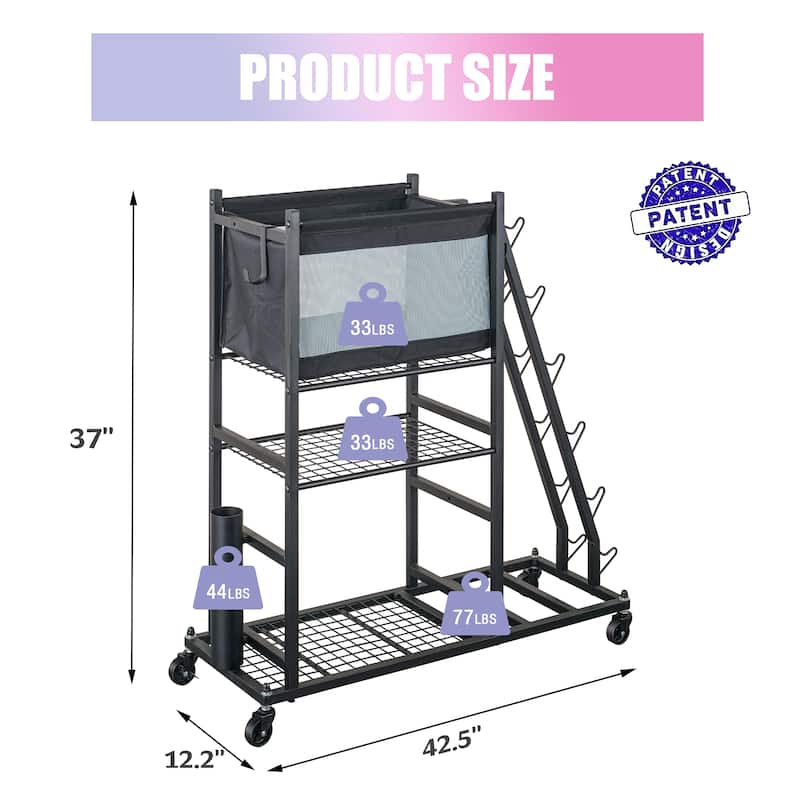 Sport Rack Dumbbell Rack Ball Organization and Storage