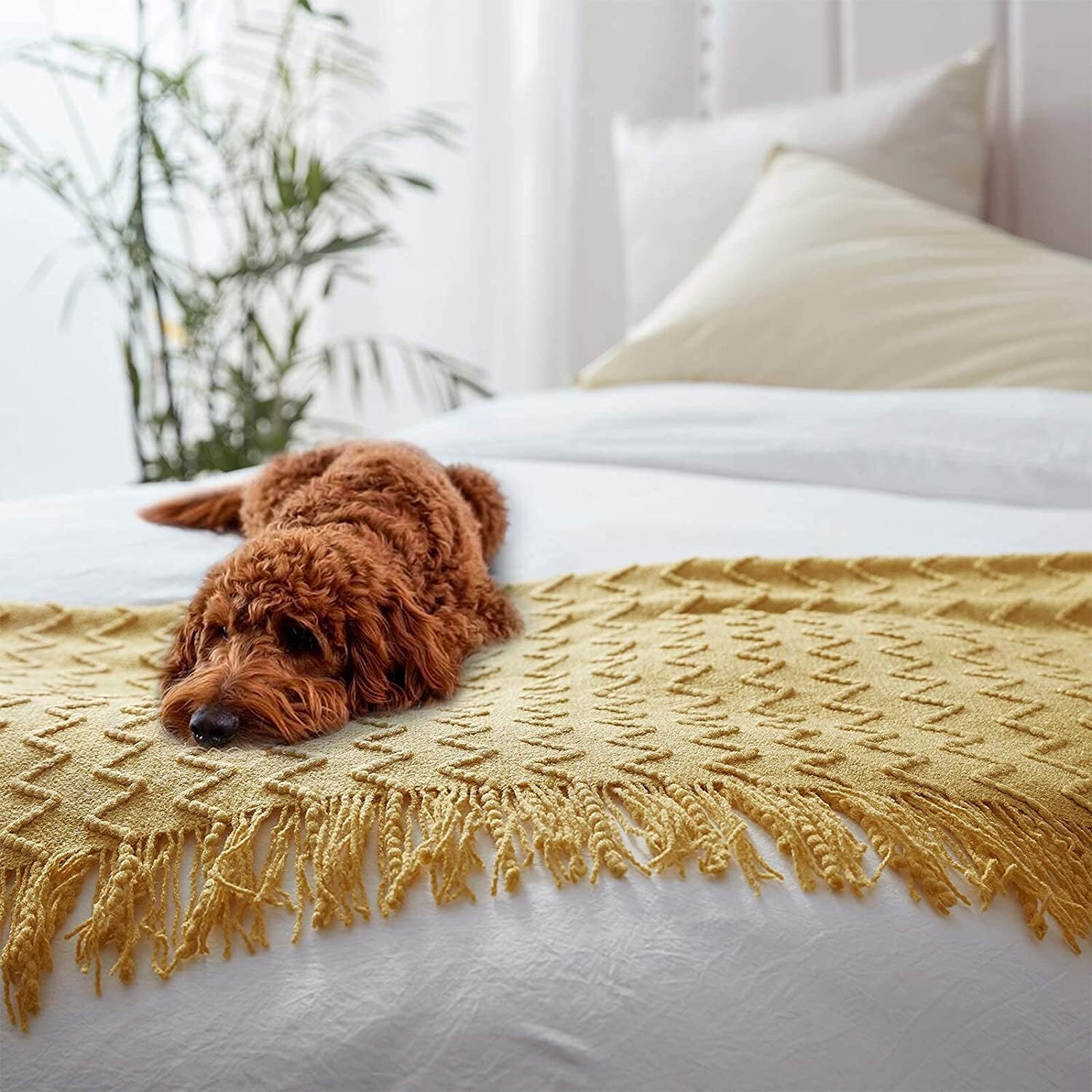 Blnkt sales weighted blanket