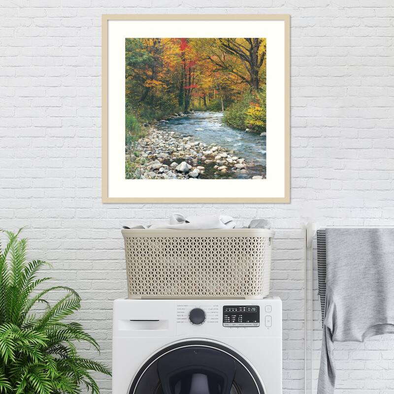 Forest Creek I Framed Art Print