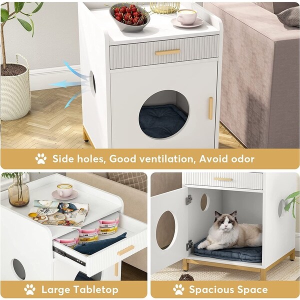 Cat litter in bedroom cheap