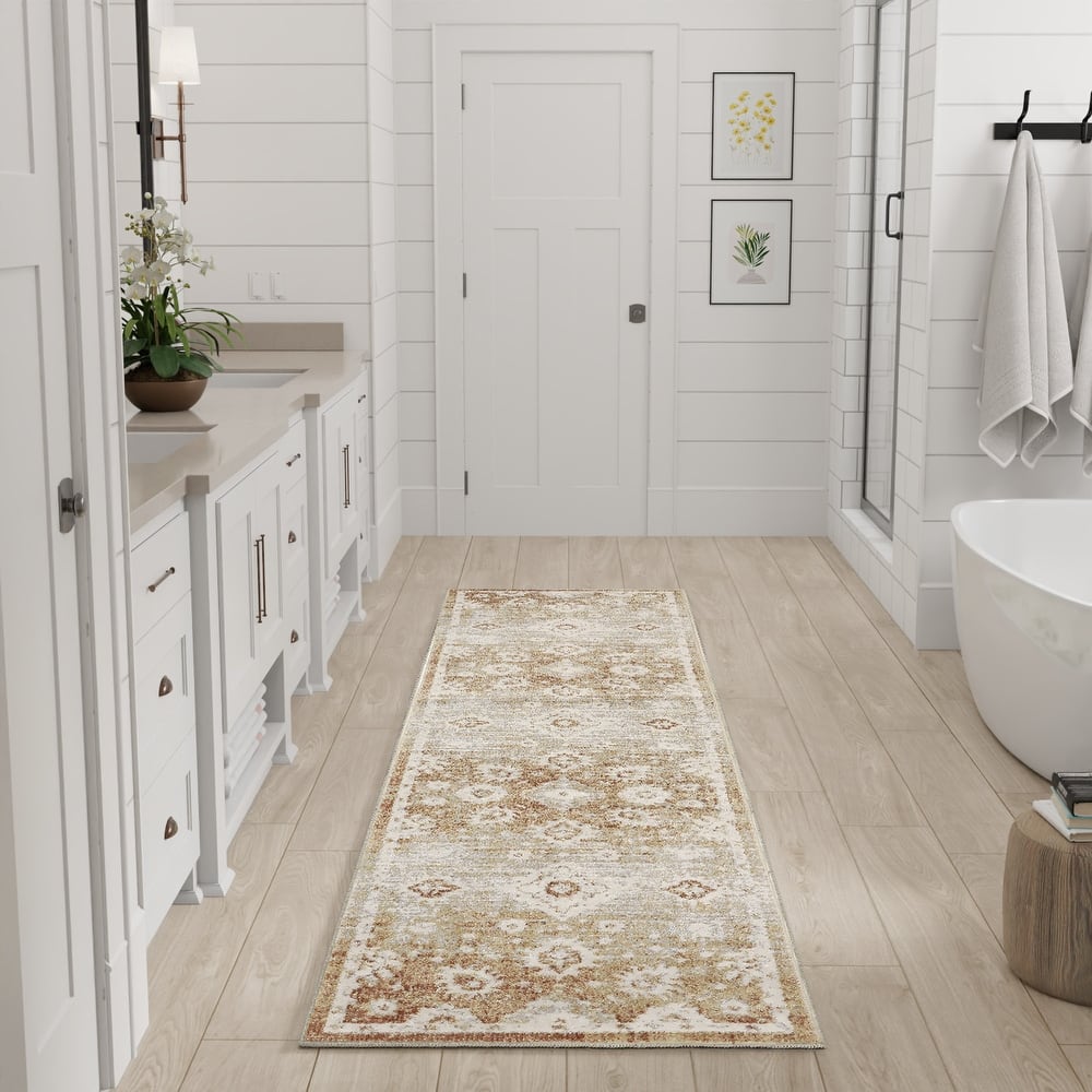 Nourison Astra Machine Washable Indoor only Persian Area Rug