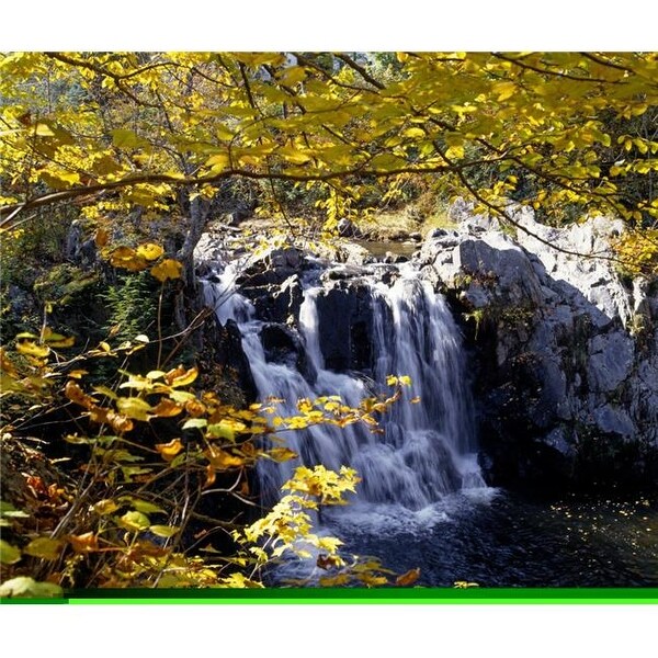 Small Waterfall Among Trees Poster Print By David Chapman 32 X