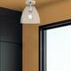 Option Clear Shade / Polished Nickel