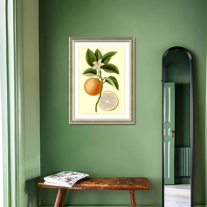 Set of 2 Orange Fruit Botanical Framed Wall Art - Replaceable Canvas Prints with Solid Wood Picture Frames - Green,Orange