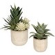 preview thumbnail 1 of 2, Uttermost 60208 Seaside Succulents 12" Tall Ceramic Faux Flora Planter - Tan