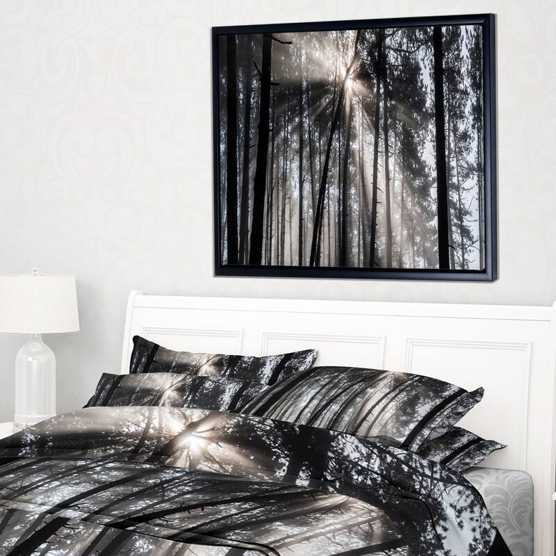 Designart "Sunbeams through Black White Forest" Forest Framed Canvas Wall Art Print