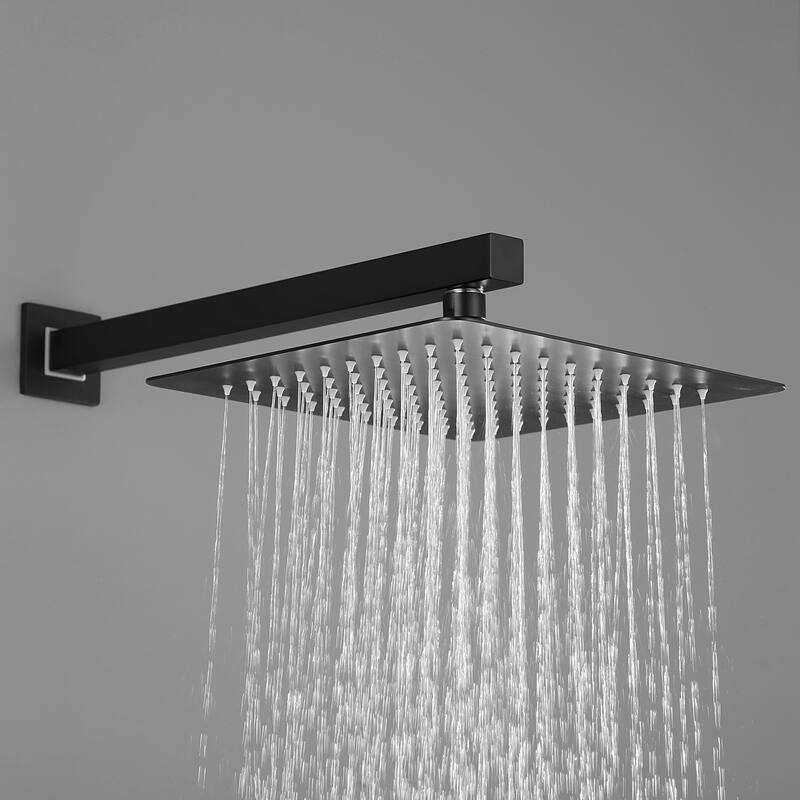 1-Spray Patterns 2.0 GPM 10 in. Black Showerhead