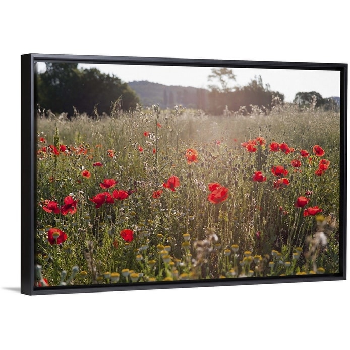 Framed Stretched Blooming Poppy Flowers Oil Painting, Set of 3, 40 x 27.5  - On Sale - Bed Bath & Beyond - 32385481