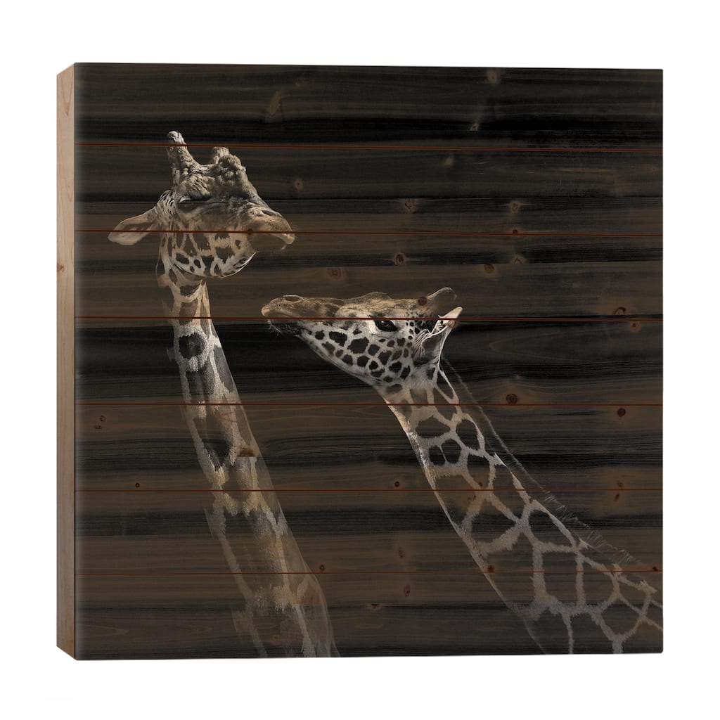 Two Giraffes In Black & White Print On Wood by Lukas Holas - Multi-Color
