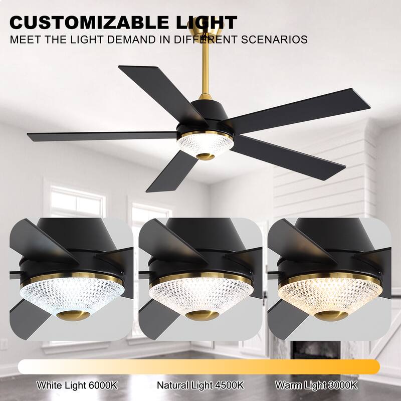 Oaks Aura 52" LED Dimmable Ceiling Fan,Modern Black Reversible Blades Fan Light,6 Speeds Quiet DC Motor with Remote for Indoor