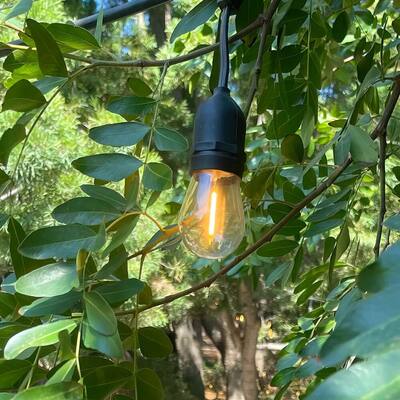 120V 24ft Commercial Ready Dimmable Outdoor LED Patio 12 String Light