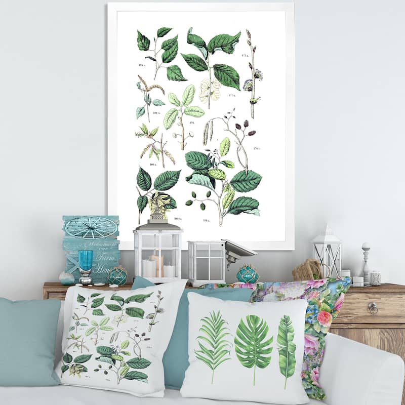 Designart "Vintage Botanicals VIII" Traditional Framed Art Print - 24 In. Wide x 32 In. High - White