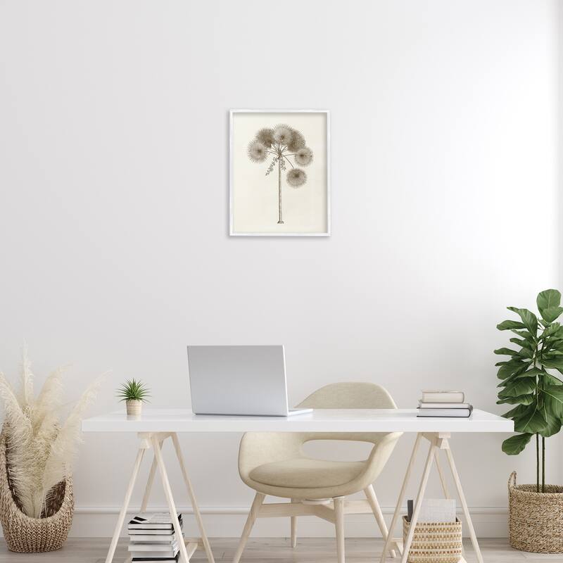 Stupell Vintage Study of Palm Tree Framed Giclee Art Design By Phillipa Katz