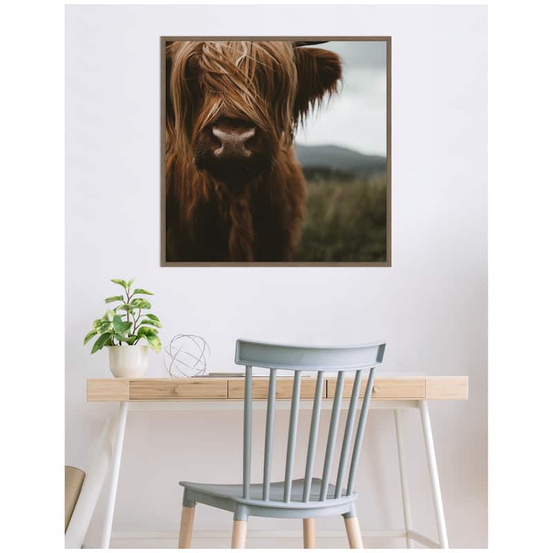Kate and Laurel Close Up of Scottish Highland Cattle Baby SQ by Michael Schauer Framed Canvas Wall Art Print