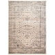 preview thumbnail 1 of 3, SAFAVIEH Didina Vintage Distressed Boho Oriental Rug 6'7" x 9'2" - Stone - Rectangle
