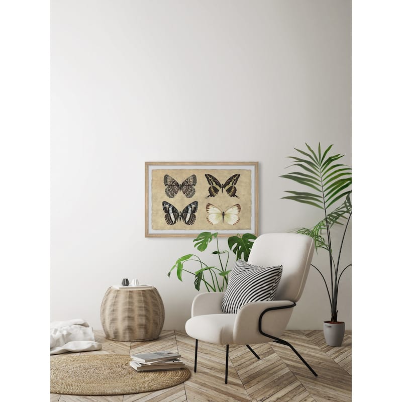 Her Wings Unfolded Framed Print