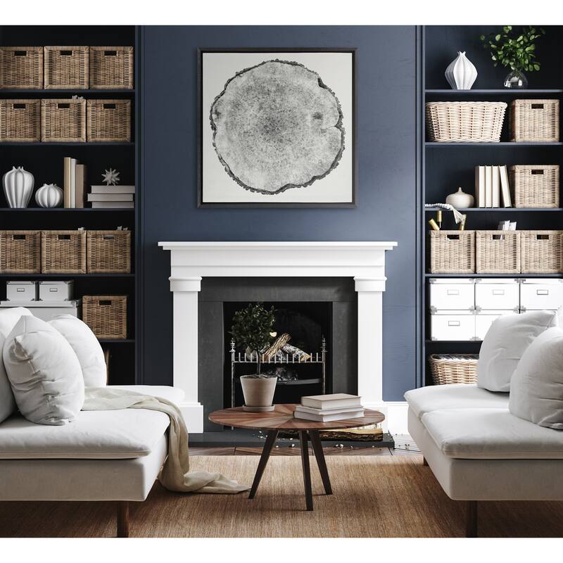 Kate and Laurel Sylvie Rings Framed Canvas by Emiko and Mark Franzen