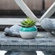 preview thumbnail 4 of 7, Succulent in Two tone lines pattern ceramic pot ,Teal - ONE-SIZE