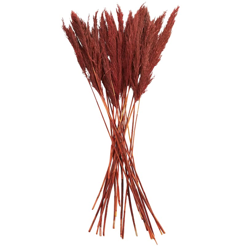 Red Dried Plant Pampas Home Decor Natural Foliage with Long Stems