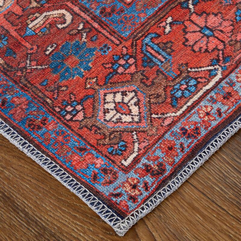 Birchlawn R39HI Oriental Transitional Area Rug