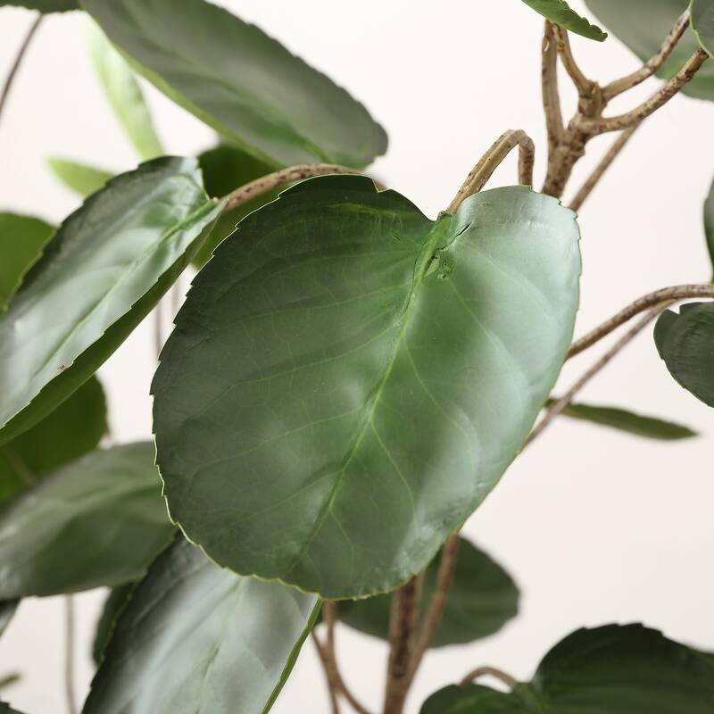 SAFAVIEH Debbra Faux Polyscias Potted Tree - 19.7" W x 19.7" L x 59" H - 20Wx20Dx59H