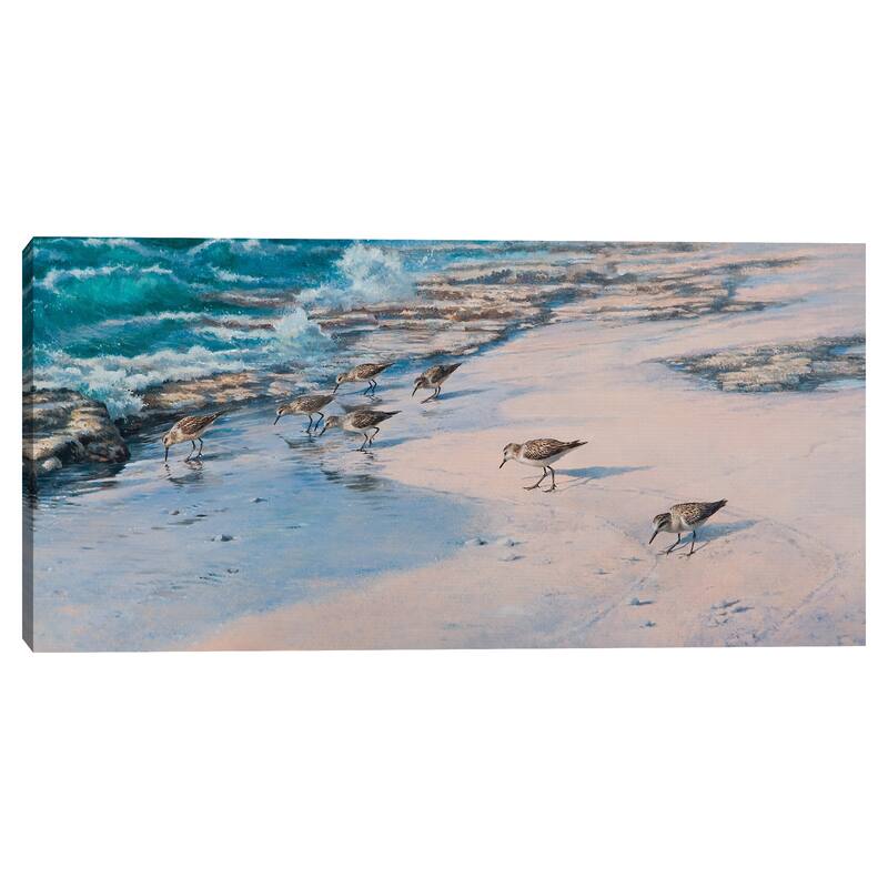 Sanderlings Canvas Art Print