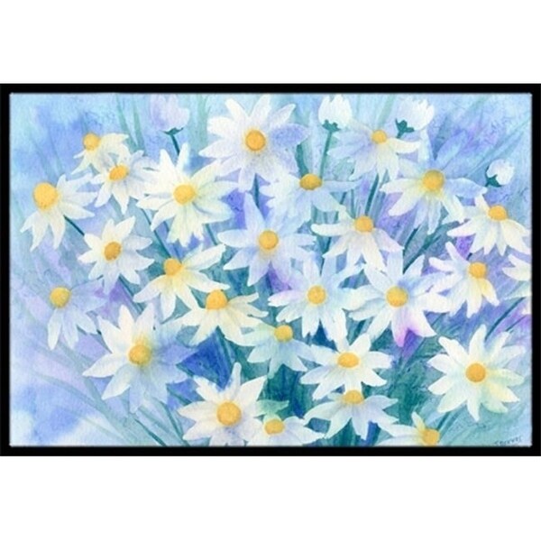 Carolines Treasures IBD0255JMAT Light & Airy Daisies Indoor or Outdoor Mat 24 x 36