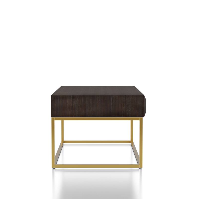 Bird Contemporary 47-inch Steel 2-Drawer Coffee Table by Furniture of America