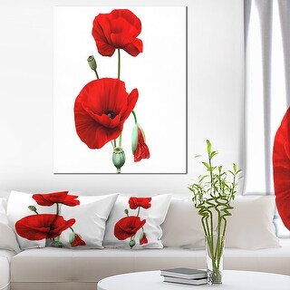 Designart "Red Poppies on White Background" Floral Canvas Artwork Print ...