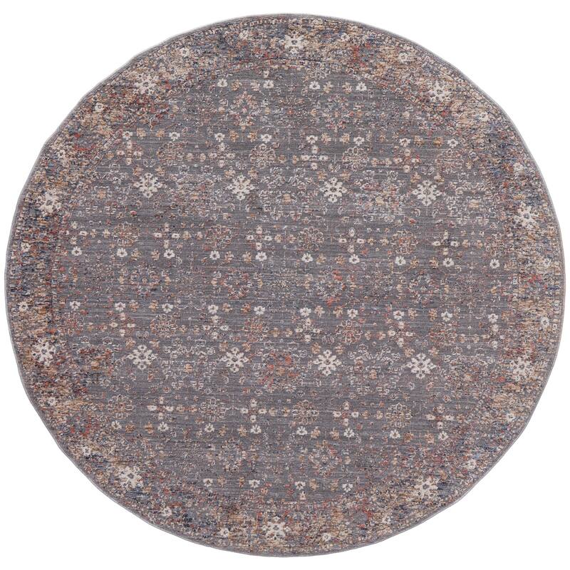 Sybil Transitional Oriental Style Rug, Charcoal/Light Blue