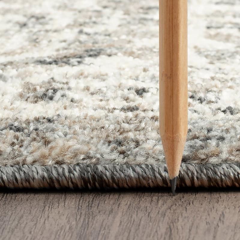 Tucson Farmhouse Oriental Indoor Area Rug