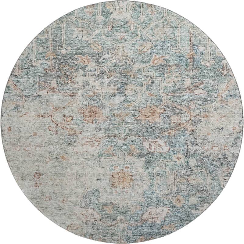 Premium Washable Super Soft Distressed Traditional Mayfield Rug