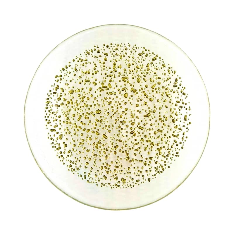 7 Inch Glass Canape Appetizer Plate with Pebble Pattern Perfect for Dinner Parties - 7”D x 7”W x 0.5”H