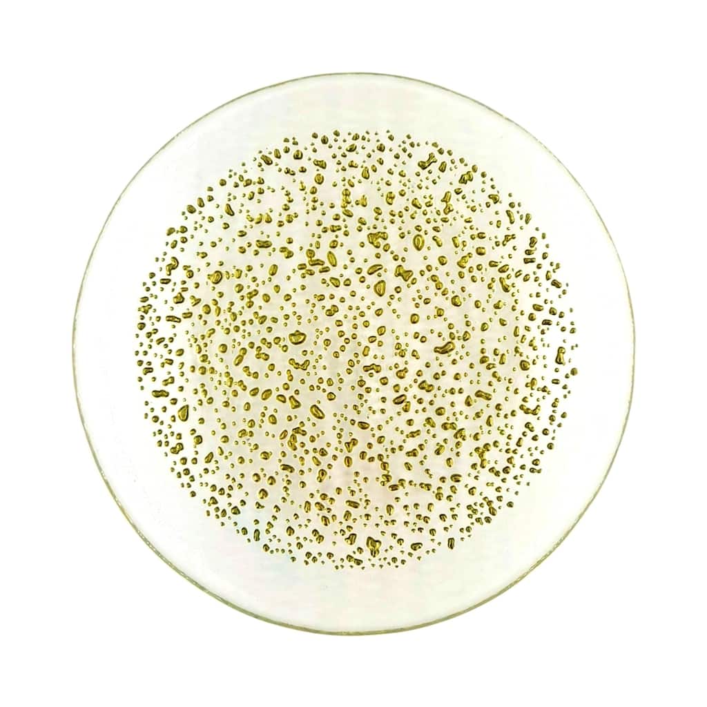 ISLA Canape Plates Set of 4 - 7"
