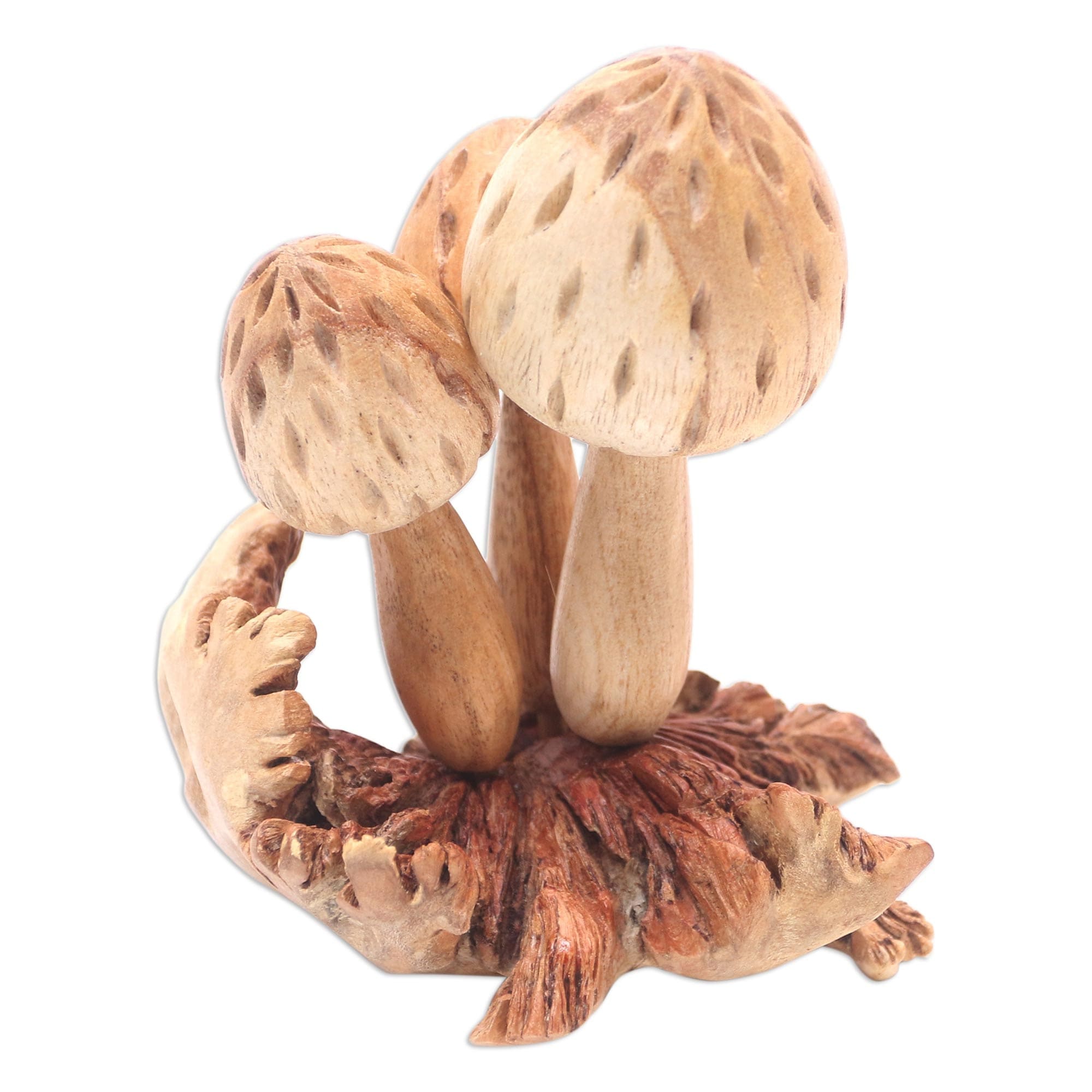 Novica Handmade Living Mushrooms Wood Sculpture