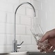 preview thumbnail 74 of 107, Kraus Purita Drinking Water Dispenser Beverage Kitchen Faucet