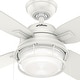 preview thumbnail 17 of 21, Hunter 52" Ocala Outdoor Ceiling Fan w/LED Light Kit and Pull Chain - Industrial, Rustic, Coastal - Damp Rated!