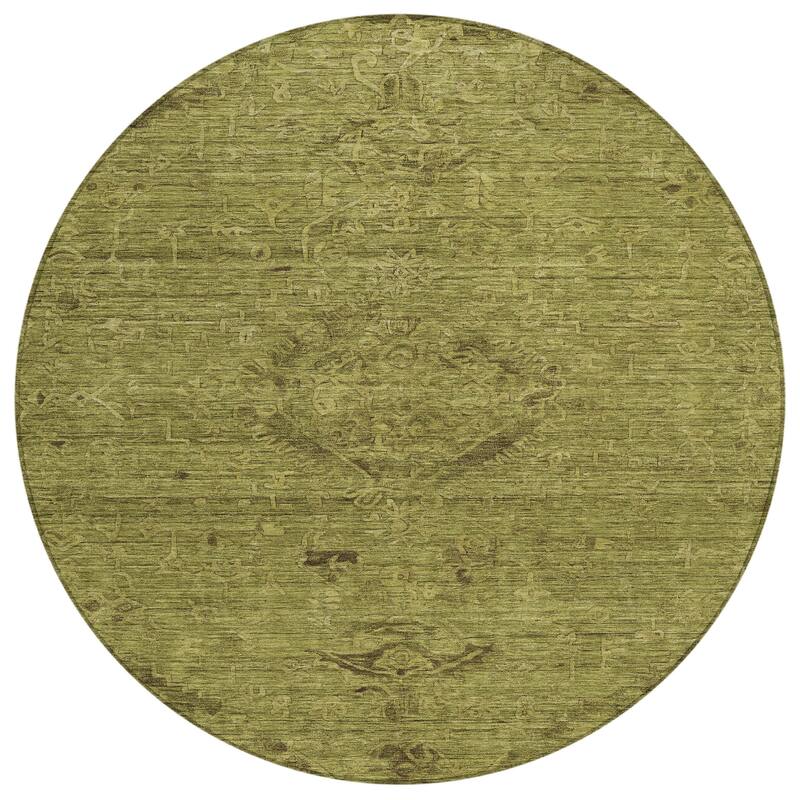 Machine Washable Indoor/ Outdoor Vintage Traditional Chantille Rug