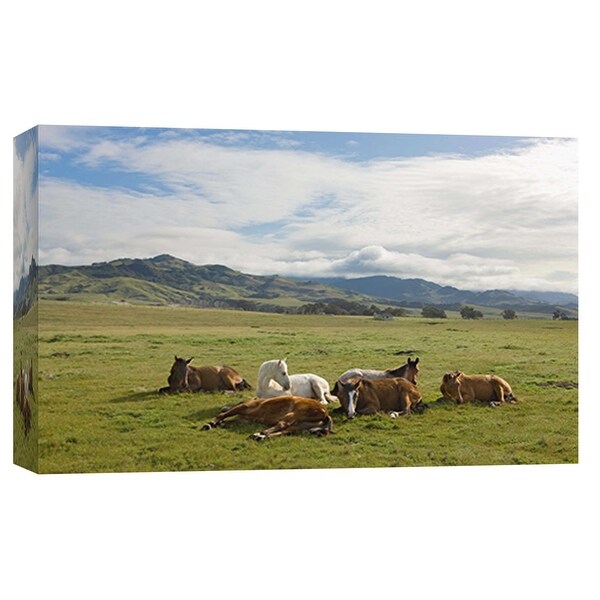 PTM Images 9-101975 PTM Canvas Collection 8" x 10" - "Resting Horses, San Simeon" Giclee Horses Art Print on Canvas