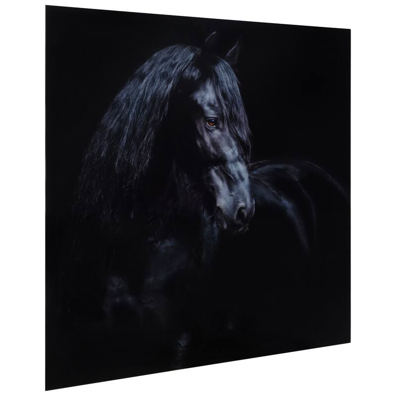 "Black Equine Attraction" Frameless Free Floating Tempered Glass Panel Graphic Wall Art